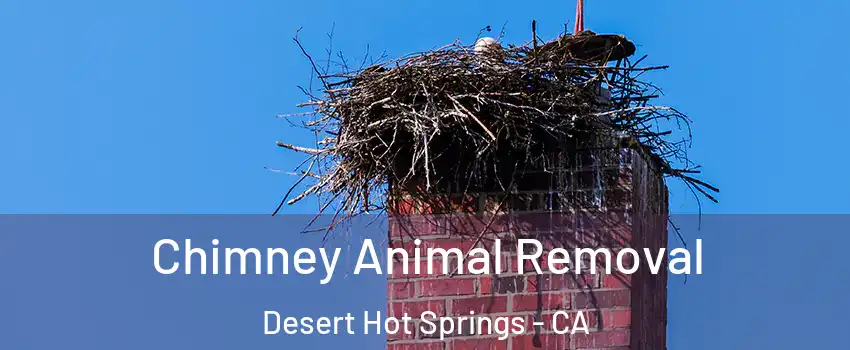  Chimney Animal Removal Desert Hot Springs - CA