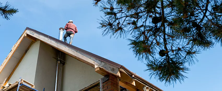 Birds Removal Contractors from Chimney in Desert Hot Springs, CA